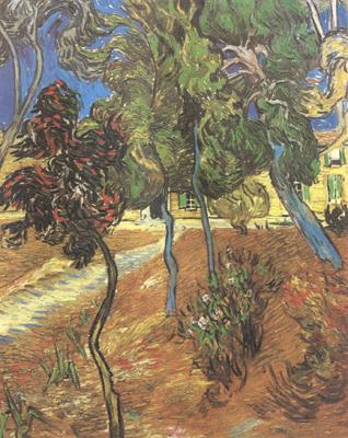 Vincent Van Gogh Trees in the Garden of Saint-Paul Hospital (nn04) China oil painting art